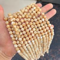 Gemstone Jewelry Beads Trochus polished DIY Sold By Strand