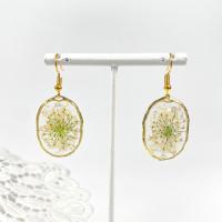 Resin Earring Brass with Resin fashion jewelry & for woman nickel lead & cadmium free Approx Sold By Lot