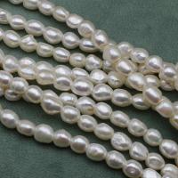 Natūralus gėlavandenių perlų Palaidos karoliukai, Gėlo vandens perlų, Pasidaryk pats, baltas, 8mm, Parduota už Apytiksliai 37 cm Strand