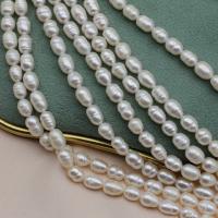 Natural Freshwater Pearl Loose Beads, DIY, white, 6-7mm, Sold Per Approx 36-37 cm Strand