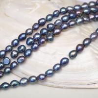 Perles nacres baroques de culture d'eau douce , perle d'eau douce cultivée, DIY, noire, 10-11mm, Vendu par Environ 35-37 cm brin