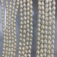 Perles d'eau douce de culture de riz, perle d'eau douce cultivée, Naturel & DIY & normes différentes pour le choix, blanc, Vendu par 36-38 cm brin
