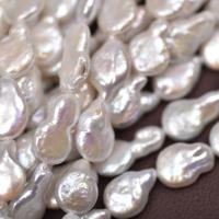 Barock kultivierten Süßwassersee Perlen, Natürliche kultivierte Süßwasserperlen, DIY, weiß, 11-12mm, verkauft per ca. 38-40 cm Strang
