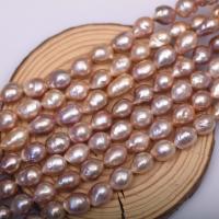 Perles nacres baroques de culture d'eau douce , perle d'eau douce cultivée, DIY, violet, 11-12mm, Vendu par Environ 39-40 cm brin