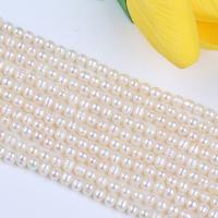 Natūralus gėlavandenių perlų Palaidos karoliukai, Gėlo vandens perlų, Pasidaryk pats, daugiau spalvų pasirinkimas, 5-6mm, Parduota už Apytiksliai 36 cm Strand
