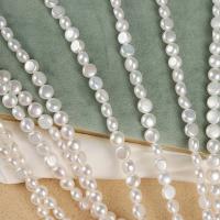 Naturales agua dulce perlas sueltas, Perlas cultivadas de agua dulce, Bricolaje, Blanco, 8mm, Vendido para aproximado 39 cm Sarta