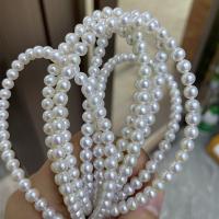 Runde ferskvandskulturperle Beads, Ferskvandsperle, du kan DIY, hvid, 5mm, Solgt Per Ca. 40 cm Strand