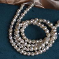 Naturales agua dulce perlas sueltas, Perlas cultivadas de agua dulce, Bricolaje, Blanco, 8mm, Vendido para aproximado 36 cm Sarta
