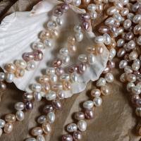 Naturalne perły słodkowodne perełki luźne, Perła naturalna słodkowodna, DIY, mieszane kolory, 8-9x9-10mm, sprzedawane na około 38 cm Strand