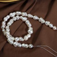 Naturel d'eau douce perles, perle d'eau douce cultivée, DIY, blanc, 8-9x13-14mm, Vendu par Environ 36 cm brin