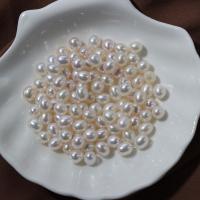 Natural Freshwater Pearl Loose Beads DIY & half-drilled white 6mm Sold By PC