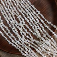 Naturel d'eau douce perles, perle d'eau douce cultivée, DIY, blanc, 3-3.5mm, Vendu par Environ 36-37 cm brin