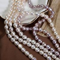 Naturliga sötvattenspärla lösa pärlor, Freshwater Pearl, DIY, fler färger för val, 7mm, Såld Per Ca 36-37 cm Strand