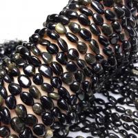 Grânulos de gemstone jóias, ouro Obsidian, Pepitas, polido, estilo folk & DIY, 8mm, vendido para Aprox 38-40 cm Strand