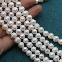 Naturliga sötvattenspärla lösa pärlor, Freshwater Pearl, DIY, vit, 8-9mm, Såld Per Ca 38 cm Strand