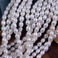 Naturlige ferskvands perle løs perler, Ferskvandsperle, du kan DIY, hvid, 8mm, Solgt Per Ca. 37 cm Strand