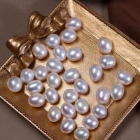 Natural Freshwater Pearl Loose Beads DIY & half-drilled white 9.5-10mm Sold By PC
