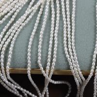 Perlas Arroz Freshwater, Perlas cultivadas de agua dulce, Bricolaje, Blanco, 2.50mm, Vendido para aproximado 37-38 cm Sarta