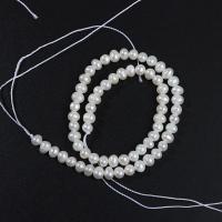 Naturliga sötvattenspärla lösa pärlor, Freshwater Pearl, DIY, vit, 5.5-6mm, Såld Per Ca 35 cm Strand