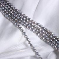 Naturlige ferskvands perle løs perler, Ferskvandsperle, du kan DIY, grå, 5mm, Solgt Per Ca. 35 cm Strand