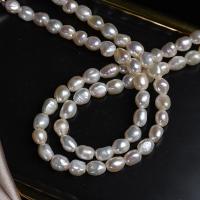 Naturliga sötvattenspärla lösa pärlor, Freshwater Pearl, DIY, vit, 8mm, Såld Per Ca 36 cm Strand