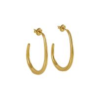 Titanium Steel  Earring, plated, for woman, gold, Sold By Pair