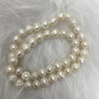 Naturliga sötvattenspärla lösa pärlor, Freshwater Pearl, DIY, vit, 7-8mm, Såld Per Ca 37 cm Strand