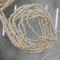 Naturales agua dulce perlas sueltas, Perlas cultivadas de agua dulce, Bricolaje, Blanco, 2-3mm, Vendido para aproximado 37 cm Sarta