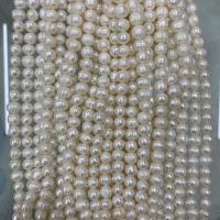 Naturliga sötvattenspärla lösa pärlor, Freshwater Pearl, DIY, vit, 8-9mm, Såld Per Ca 37 cm Strand