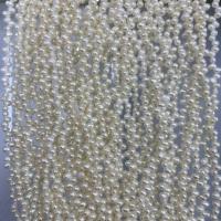 Perles nacres baroques de culture d'eau douce , perle d'eau douce cultivée, DIY, blanc, 3-3.5mm, Vendu par Environ 37 cm brin
