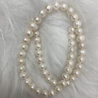 Naturales agua dulce perlas sueltas, Perlas cultivadas de agua dulce, Bricolaje, Blanco, 8-9mm, Vendido para aproximado 37 cm Sarta