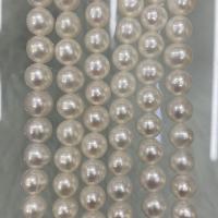 天然淡水真珠ルース ビーズ, 天然有核フレッシュウォーターパール, DIY, ホワイト, 9-10mm, で販売される 約 37 センチ ストランド