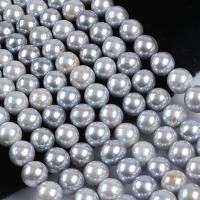 Runde ferskvandskulturperle Beads, Ferskvandsperle, du kan DIY, grå, 10-13mm, Solgt Per Ca. 36-38 cm Strand