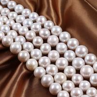 Runde ferskvandskulturperle Beads, Ferskvandsperle, du kan DIY, hvid, 10-15mm, Solgt Per Ca. 36-38 cm Strand