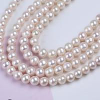 Runde ferskvandskulturperle Beads, Ferskvandsperle, du kan DIY, hvid, 8-9mm, Solgt Per Ca. 36 cm Strand