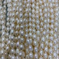 Riso coltivato in perla d'acqua dolce, perla d'acquadolce coltivata naturalmente, DIY, bianco, 4-5mm, Venduto per Appross. 37 cm filo