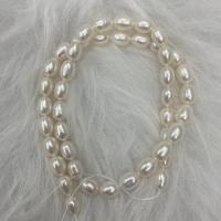 Perline perle d'acqua dolce naturale, perla d'acquadolce coltivata naturalmente, DIY, bianco, 7-8mm, Venduto per Appross. 37 cm filo