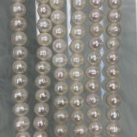 天然淡水真珠ルース ビーズ, 天然有核フレッシュウォーターパール, DIY, ホワイト, 8-9mm, で販売される 約 37 センチ ストランド