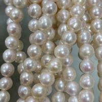 Naturliga sötvattenspärla lösa pärlor, Freshwater Pearl, DIY, vit, 6-7mm, Såld Per Ca 37 cm Strand