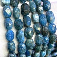 Grânulos de gemstone jóias, Apatites, DIY, azul, 12x15mm, vendido para Aprox 39 cm Strand