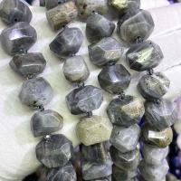 Grânulos de labradorita, Pedra brilhante, DIY, cores misturadas, 13x18mm, vendido para Aprox 39 cm Strand