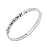 Stainless Steel Bangle, 304 Stainless Steel, plated, micro pave rhinestone & for woman, more colors for choice, Sold By PC