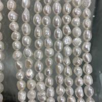 Natürliche Süßwasser, lose Perlen, Natürliche kultivierte Süßwasserperlen, DIY, weiß, 8-9mm, verkauft per ca. 37 cm Strang