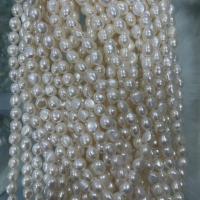 Barocco coltivate in acqua dolce Perla, perla d'acquadolce coltivata naturalmente, DIY, bianco, 10-11mm, Venduto per Appross. 37 cm filo