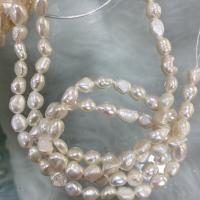 Barocco coltivate in acqua dolce Perla, perla d'acquadolce coltivata naturalmente, DIY, bianco, 7-8mm, Venduto per Appross. 37 cm filo