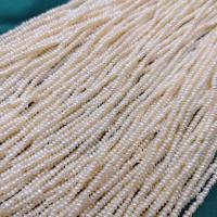 Natural Freshwater Pearl Loose Beads, Flat Round, DIY, white, 2-2.5mm, Sold Per Approx 37 cm Strand