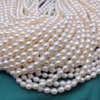 Perles d'eau douce de culture de riz, perle d'eau douce cultivée, DIY, blanc, 5-6mm, Vendu par Environ 37 cm brin