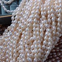 Riso coltivato in perla d'acqua dolce, perla d'acquadolce coltivata naturalmente, DIY, nessuno, 5-6mm, Venduto per Appross. 37 cm filo