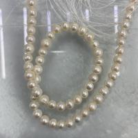 Naturales agua dulce perlas sueltas, Perlas cultivadas de agua dulce, Bricolaje, Blanco, 7-8mm, Vendido para aproximado 37 cm Sarta