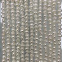 Naturel d'eau douce perles, perle d'eau douce cultivée, DIY, blanc, 3-4mm, Vendu par Environ 37 cm brin